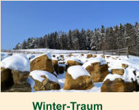 Winter-Traum